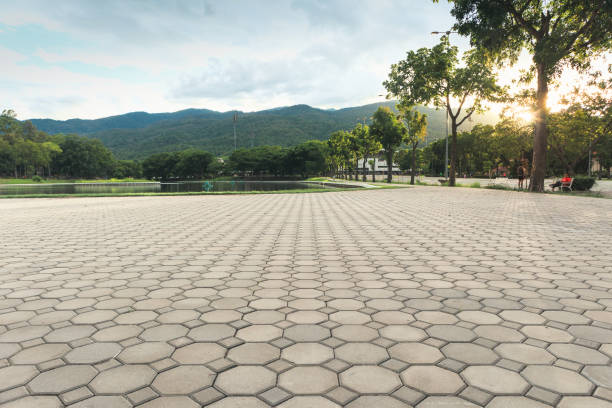 Best Decorative Driveway Pavers  in Baltimore, MD